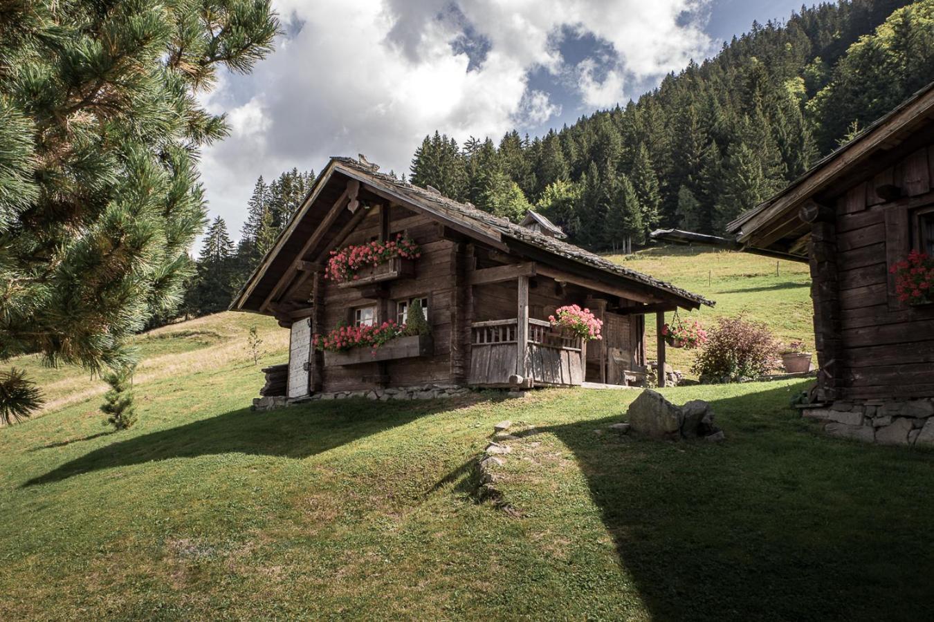 La Ferme Des Vonezins Hotel Thones Luaran gambar