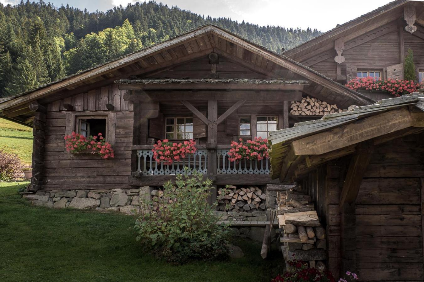 La Ferme Des Vonezins Hotel Thones Luaran gambar