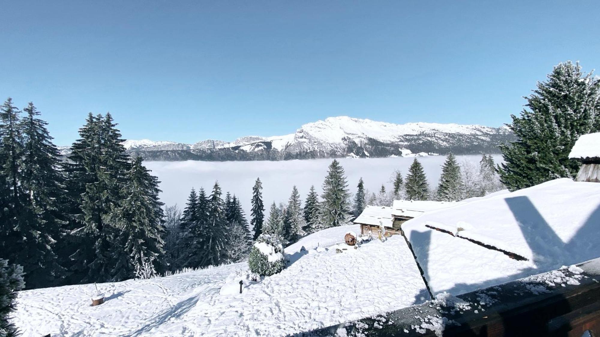 La Ferme Des Vonezins Hotel Thones Luaran gambar