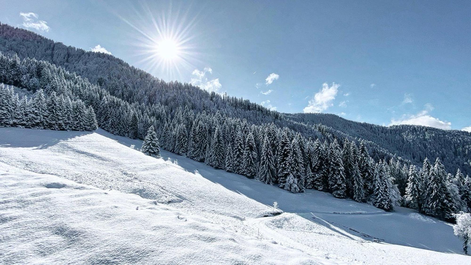 La Ferme Des Vonezins Hotel Thones Luaran gambar