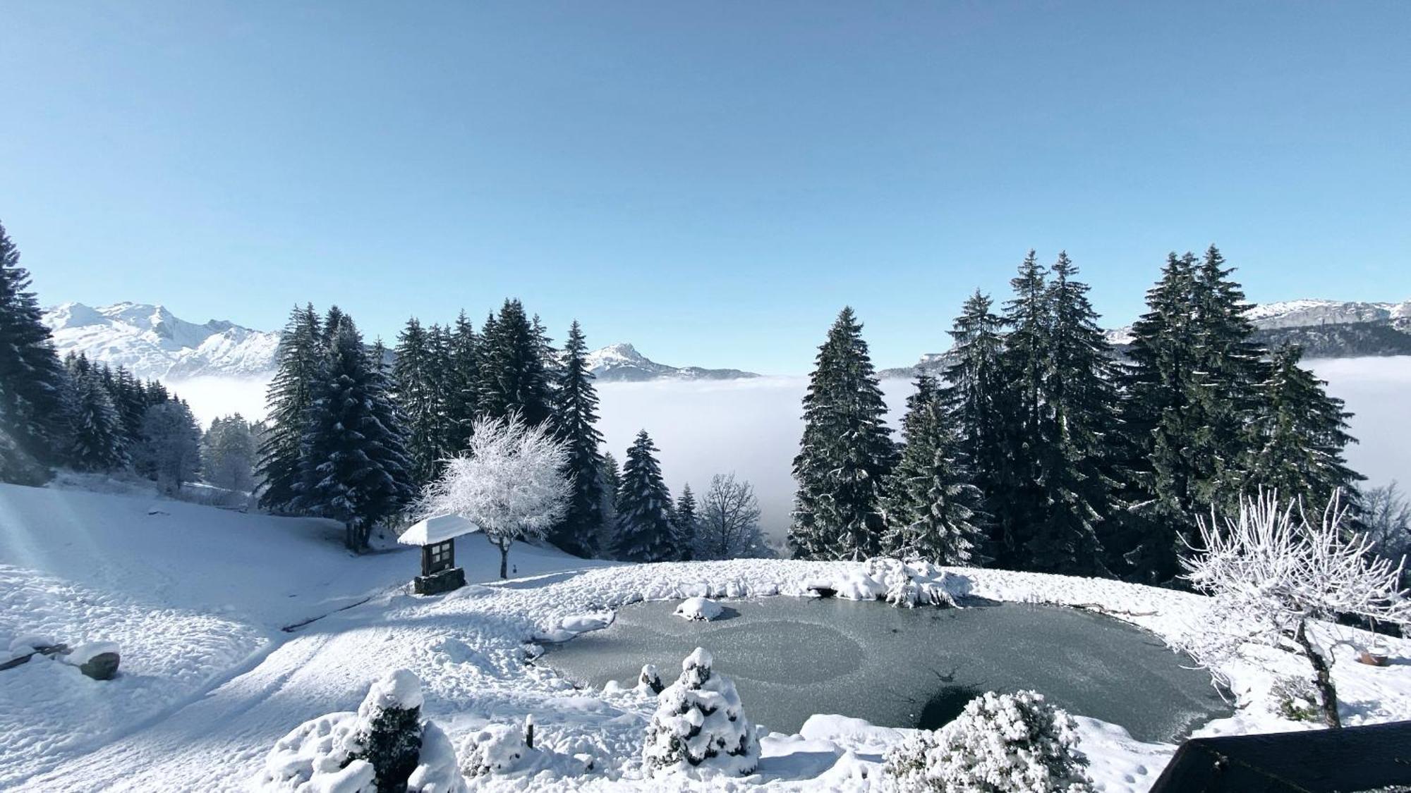 La Ferme Des Vonezins Hotel Thones Luaran gambar
